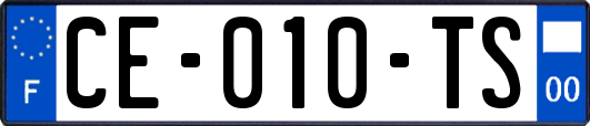 CE-010-TS