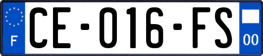 CE-016-FS