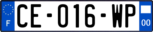 CE-016-WP