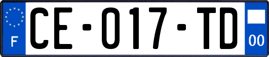 CE-017-TD