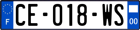 CE-018-WS