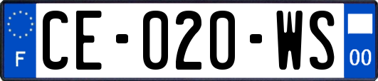 CE-020-WS