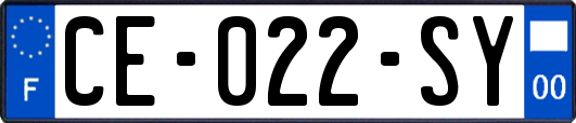 CE-022-SY