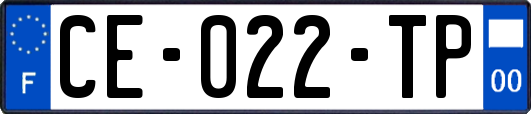 CE-022-TP