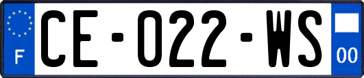 CE-022-WS