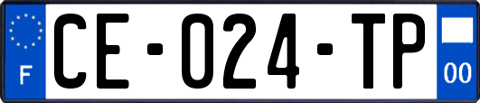 CE-024-TP