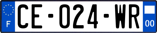 CE-024-WR