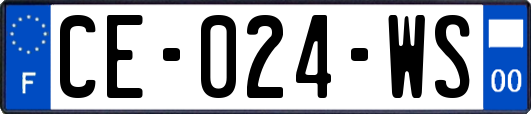 CE-024-WS