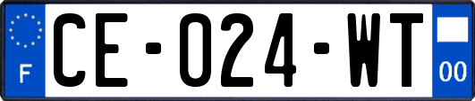 CE-024-WT