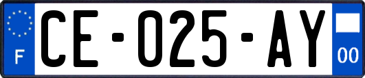 CE-025-AY