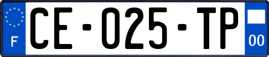 CE-025-TP