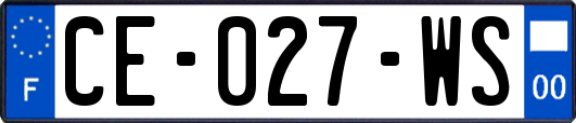 CE-027-WS