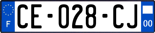 CE-028-CJ