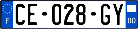 CE-028-GY