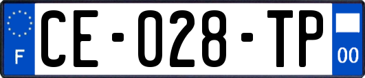 CE-028-TP