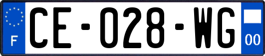 CE-028-WG