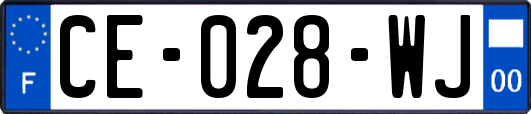 CE-028-WJ