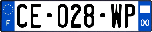 CE-028-WP