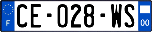 CE-028-WS