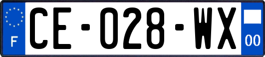 CE-028-WX