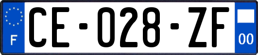 CE-028-ZF