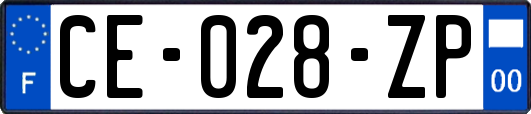 CE-028-ZP