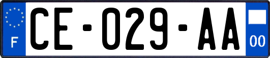 CE-029-AA