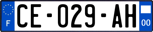 CE-029-AH