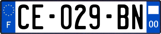 CE-029-BN