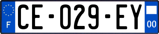 CE-029-EY