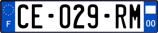 CE-029-RM