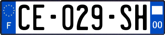 CE-029-SH