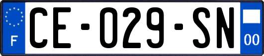 CE-029-SN