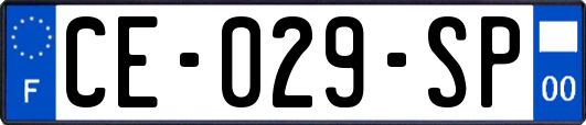 CE-029-SP