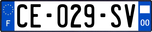 CE-029-SV