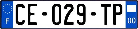 CE-029-TP