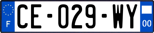 CE-029-WY