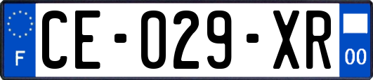 CE-029-XR