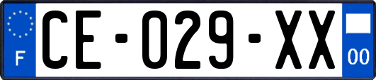 CE-029-XX