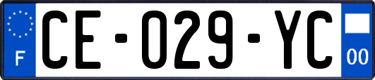 CE-029-YC