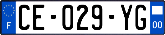 CE-029-YG