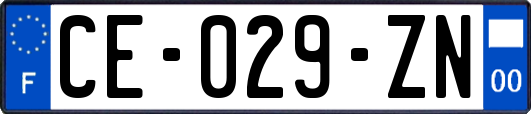 CE-029-ZN