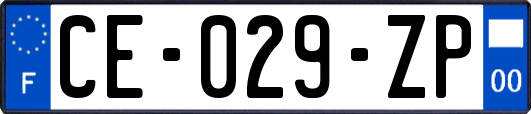 CE-029-ZP