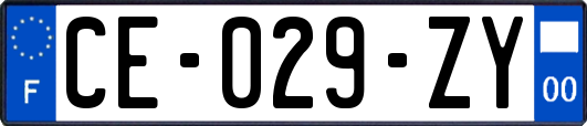 CE-029-ZY