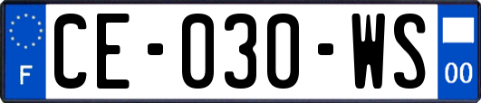 CE-030-WS