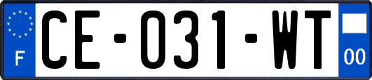 CE-031-WT