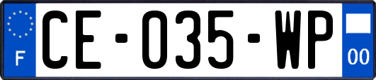 CE-035-WP