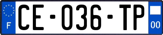 CE-036-TP