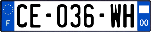 CE-036-WH