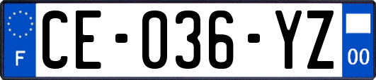 CE-036-YZ